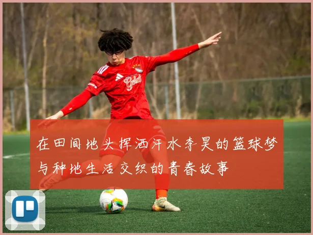 在田间地头挥洒汗水李昊的篮球梦与种地生活交织的青春故事