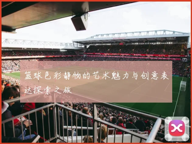 篮球色彩静物的艺术魅力与创意表达探索之旅