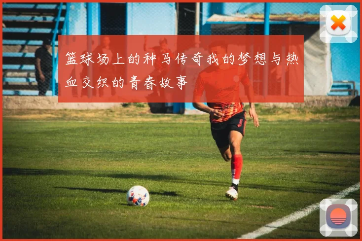 篮球场上的种马传奇我的梦想与热血交织的青春故事