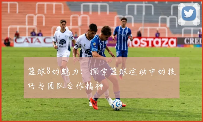 篮球8的魅力：探索篮球运动中的技巧与团队合作精神